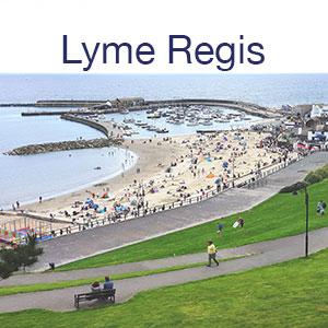 lyme regis info link